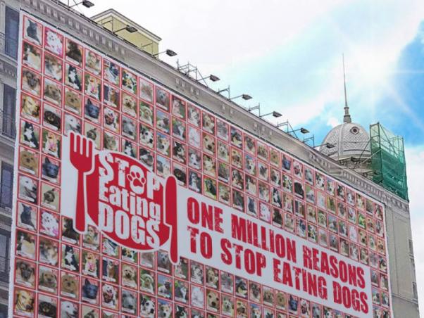 STOP EATING DOGS - WHAT WE DO